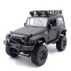 MODSTER XCross Country Crawler 1/14 RTR